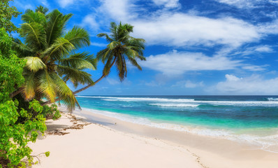Naklejka na ściany i meble Paradise Sunny beach with palms and turquoise sea. Summer vacation and tropical beach concept.
