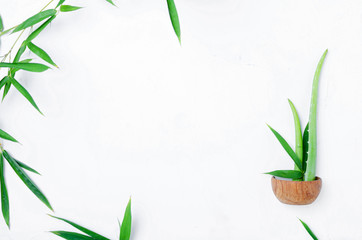 Aloe vera and bamboo. Skin care concept.
