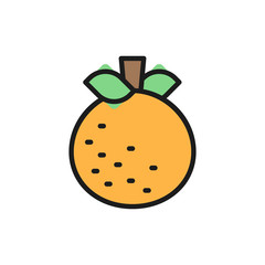 Vector mandarin, tangerine, Italian fruit flat color line icon.