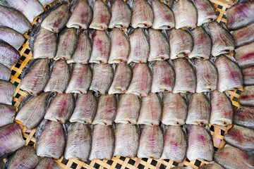 Salted Trichogaster pectoralis fishes in market in Thailand.