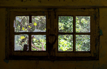 Fototapeta premium window in a wooden house
