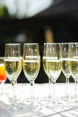 beverages at an event