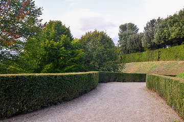 View of a gravel path between low boxwood hedges in the Boboli Gardens of Palazzo Pitti, Florence, Tuscany, Italy