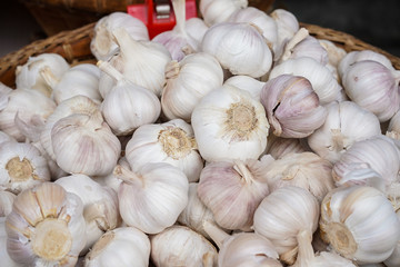 Fresh garlic bulbs in bracket close up, garlic surface texture background.
