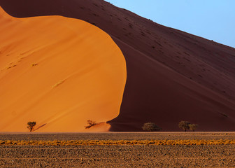 dune in the sunset dessert with fantastic shadow