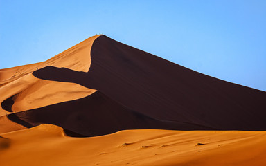 Fototapeta na wymiar namibian desert dune perfect lines and shoadows
