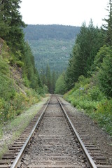 paysage voie de chemin de fer