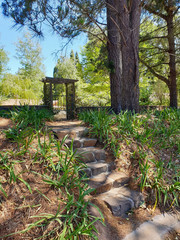 stone stairs in a garden