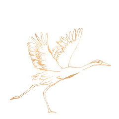 Gold line flowers modern social media instagram modern 