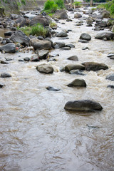 Fototapeta premium water flowing over rocks stones on a river creek