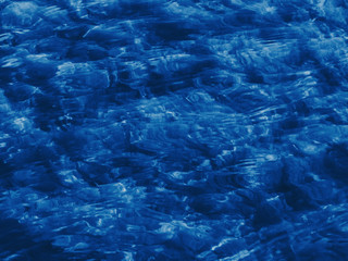 Algae in clear water. Classic blue nature trend background. Color of the year 2020