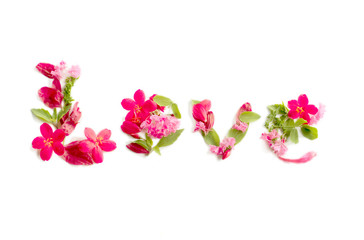 Obraz na płótnie Canvas flowers arrangement of the word love with red pink flowers and green leaves decorative typography creative text
