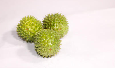 A green natural multi thorn with different view