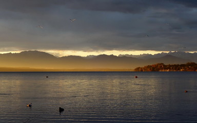 Herbstmorgen am Starnberger See