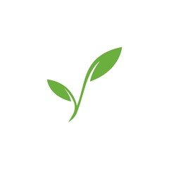 Eco Tree Leaf Logo Template