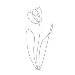 Spring flowers on white background. Continuous line drawing