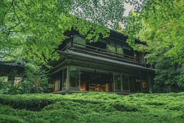 京都　お寺　寺　紅葉　光明寺　寺社仏閣　写真素材　リフレクション　写経　お茶室