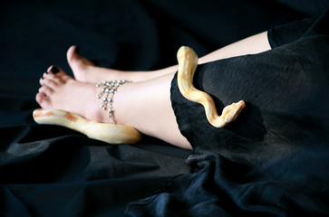 Woman leg with snake. Boa constrictor albino slithers on female foot and leg with beauty jewelry,...