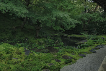 京都　お寺　寺　紅葉　光明寺　寺社仏閣　写真素材　リフレクション　写経　お茶室
