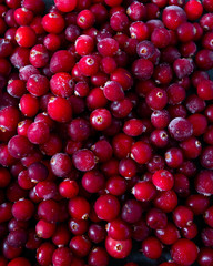 Frozen cranberries background, healthy berries