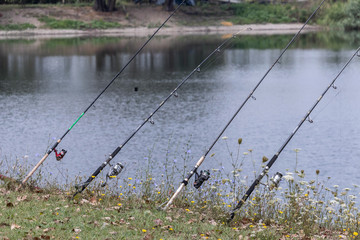 Obraz na płótnie Canvas Four fishing rods fixed on the lake