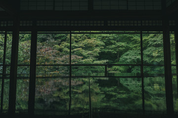 Naklejka premium 京都 お寺 寺 紅葉 光明寺 寺社仏閣 写真素材 