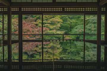 京都　お寺　寺　紅葉　光明寺　寺社仏閣　写真素材　