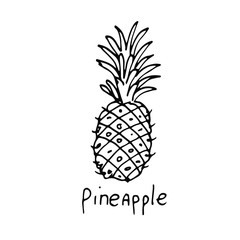 A pineapple. Icon food image. Doodle drawing, simple hand drawn illustration on white backgroung. Design for coloring book page