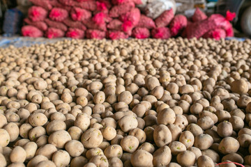 Potato background. Potatoes before planting.