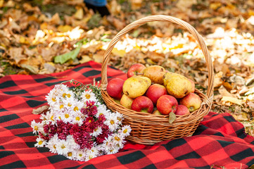 Basket with fruits and bouquet of flowers on the plaid