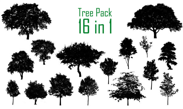 trees collection, 16 detailed, different tree vector