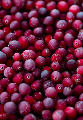 Frozen cranberries background, healthy berries