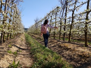 Naklejka premium Weingut