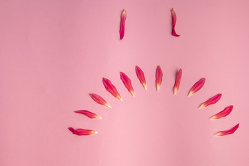 pink flower on a pink background. female health concept. A reference to tenderness, care and kindness. Smiley.