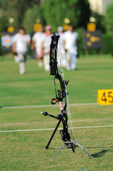 Compound archery