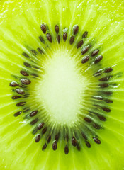 Vertical image of a slice of kiwi. Macro photograph.