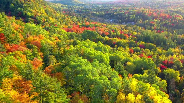 Incomparable Autumn Scenery, Forests and Cliffs of Michigan's Upper Peninsula, Keweenaw Peninsula, Fall Colors, Aerial Drone View