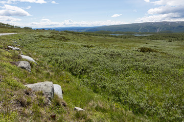 Landschaft am Rand des Jotunheimen-Gebirges in Norwegen