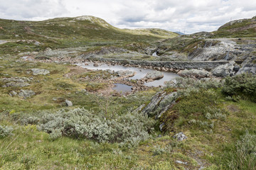 Fototapeta na wymiar Vinsteråne, Zufluss zum Vinstri, großer See in Fylke, Oppland, Norwegen
