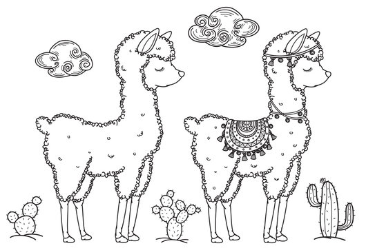 Vector baby llama cartoons, black silhouette for coloring.
