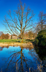 Fototapeta na wymiar Tree is reflected in the castle pond in Wiligrad. Mecklenburg-Vorpommern, Germany