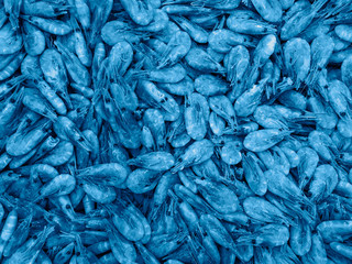 Large full-screen Creative banner trending classic blue with the texture of shellfish shrimp...