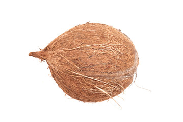 Coconut isolated on the white background.