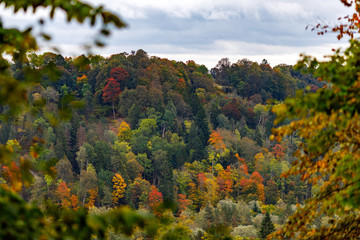autumn city. autumn forest, sky, clouds, forest