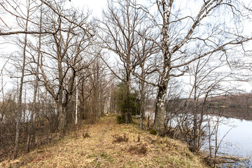 autumn city. autumn forest, sky, clouds, forest