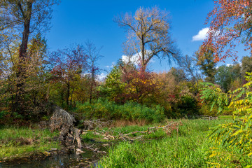 Pond. Beautiful autumn forest along the banks. Good sunny day for outdoor recreation.