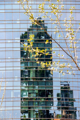 Milano, Lombardy Italy abstract urban architecture, vague building reflections behind blurred May tree branches in Porta Nuova district
