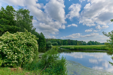 Peaceful rural summer european landscape with green trees and water