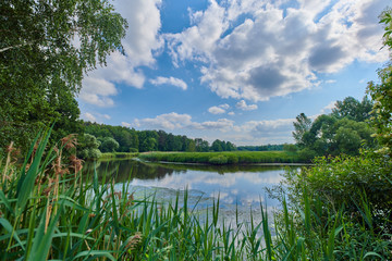 Peaceful rural summer european landscape with green trees and water