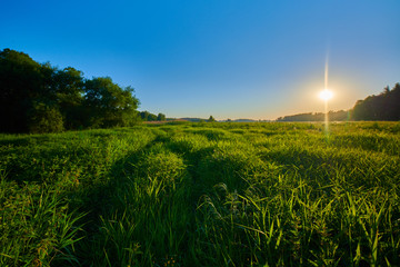 Peaceful rural summer european landscape with green trees and water